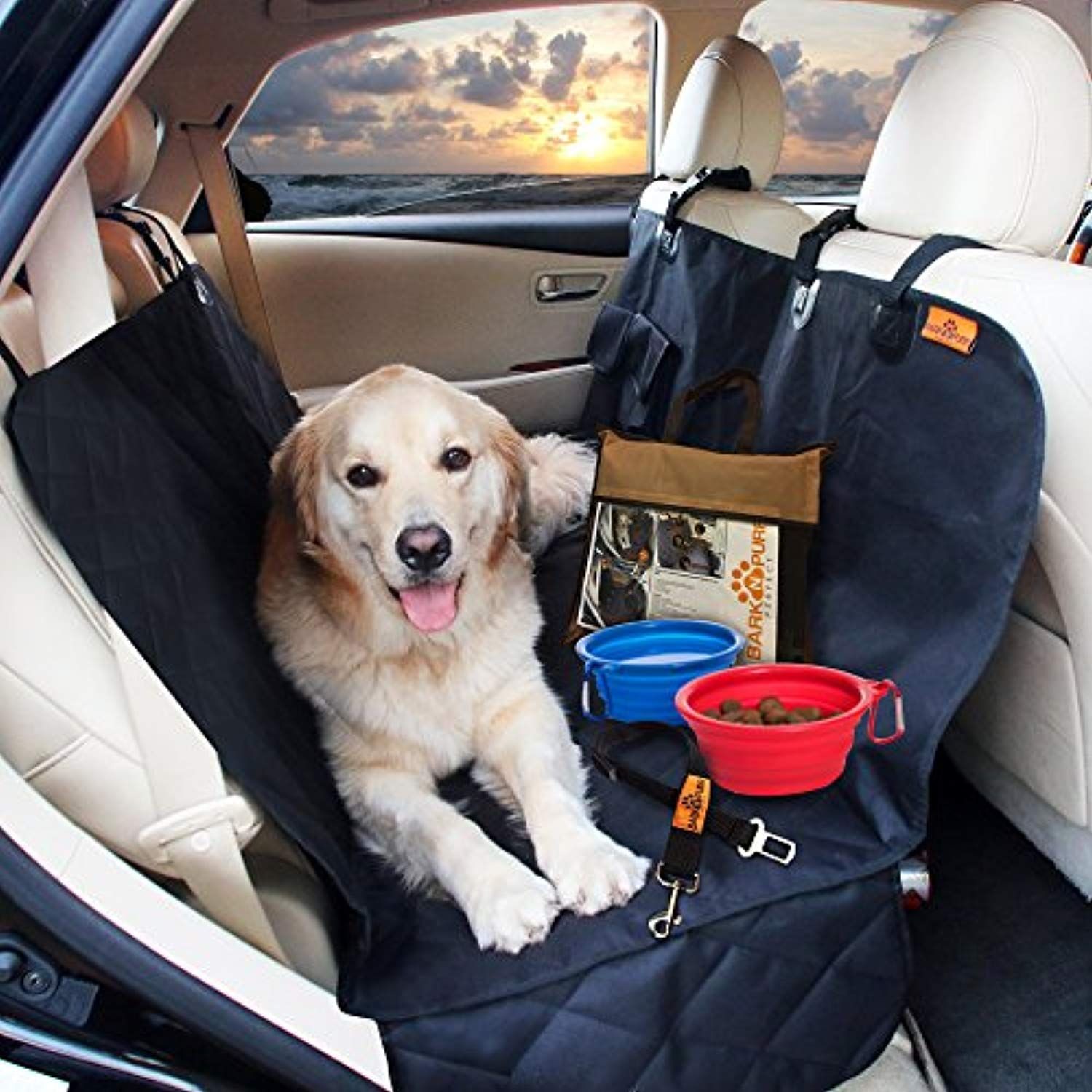 Советы по выбору автомобиля для владельцев домашних животных: как сделать поездки комфортными для вас и ваших питомцев